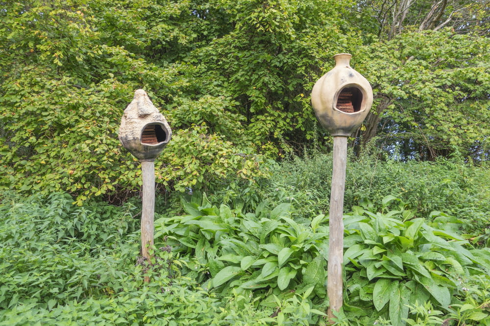 a couple of bird houses sitting in the middle of a forest