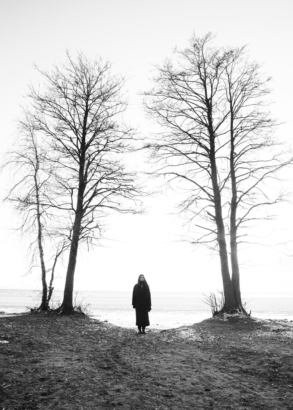 a person standing in front of some trees