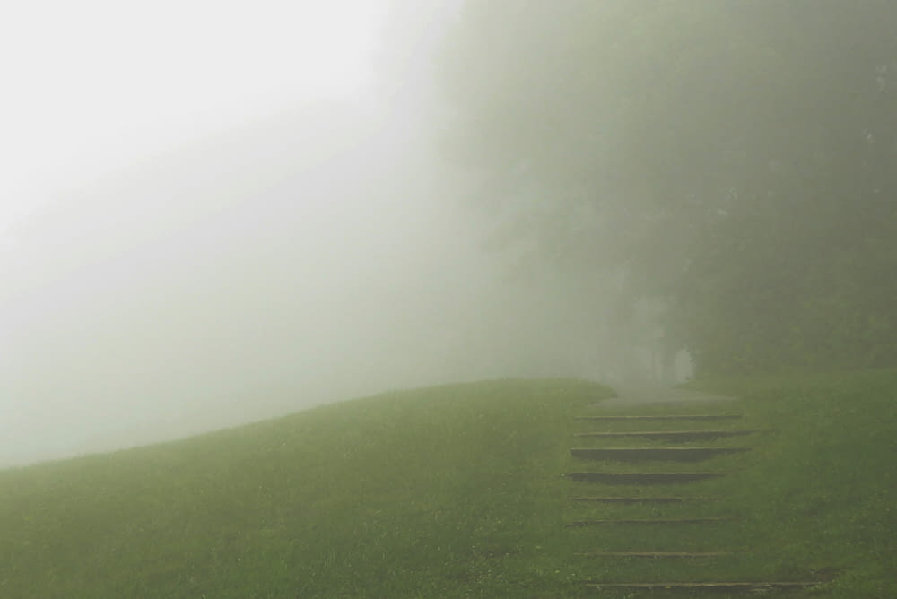 a foggy field with a set of steps in the grass