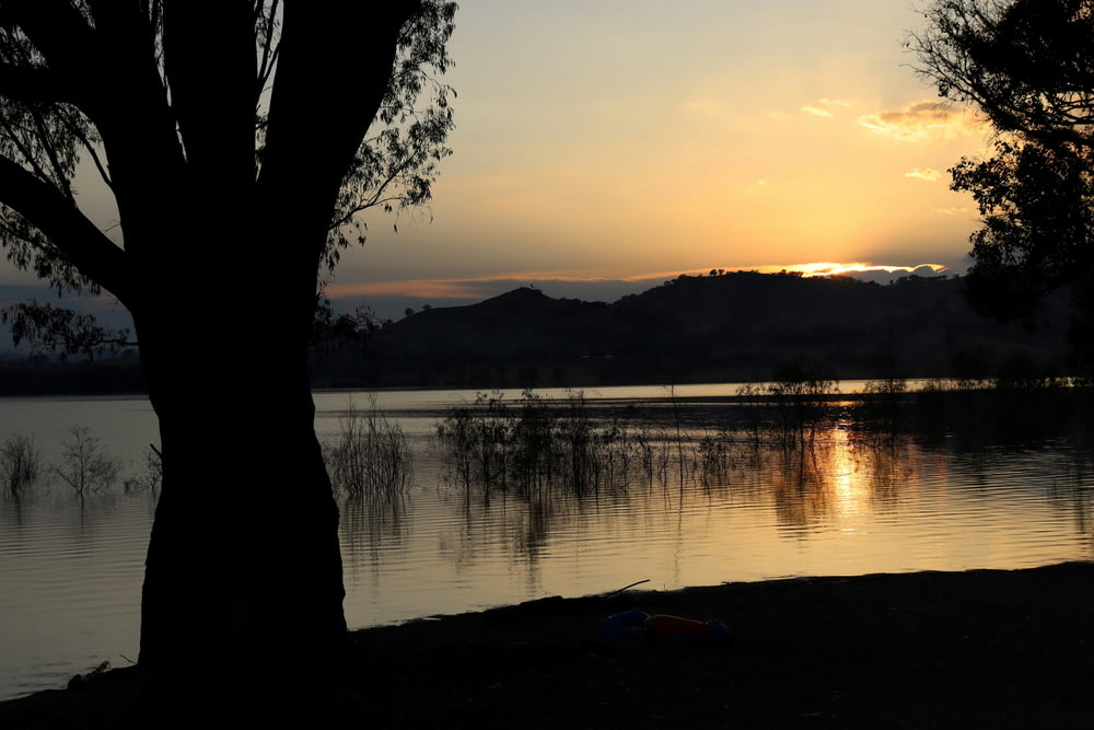 Le soleil se couche sur un lac arboré