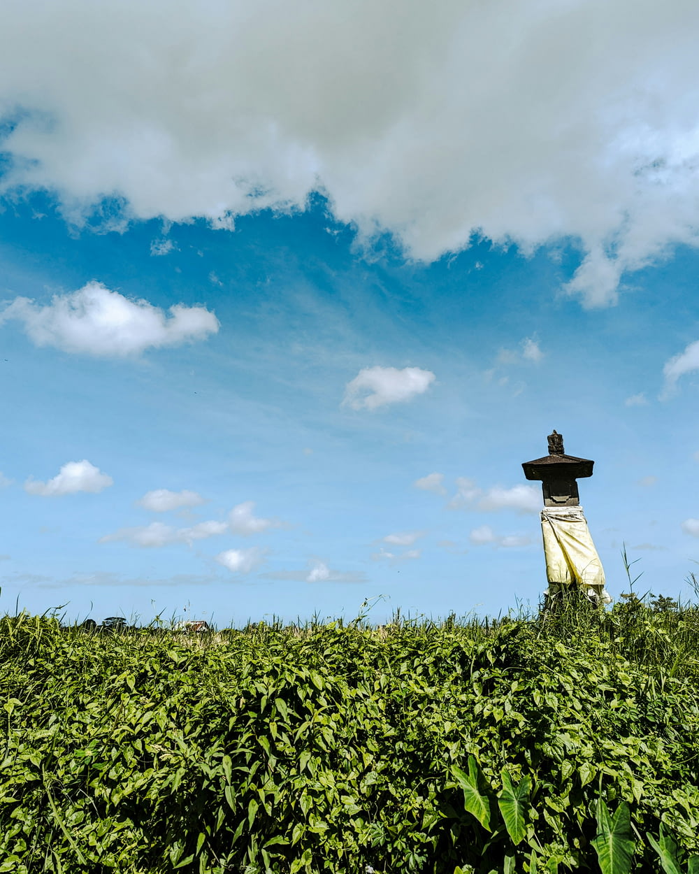 a statue in the middle of a lush green field