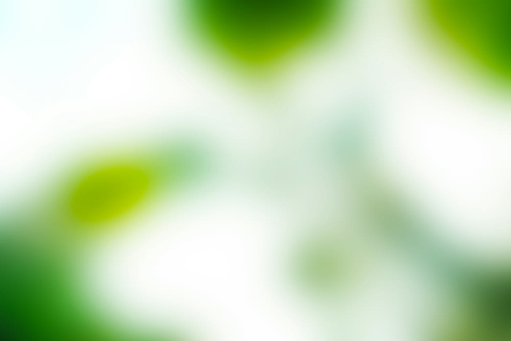 a blurry image of green circles on a white background