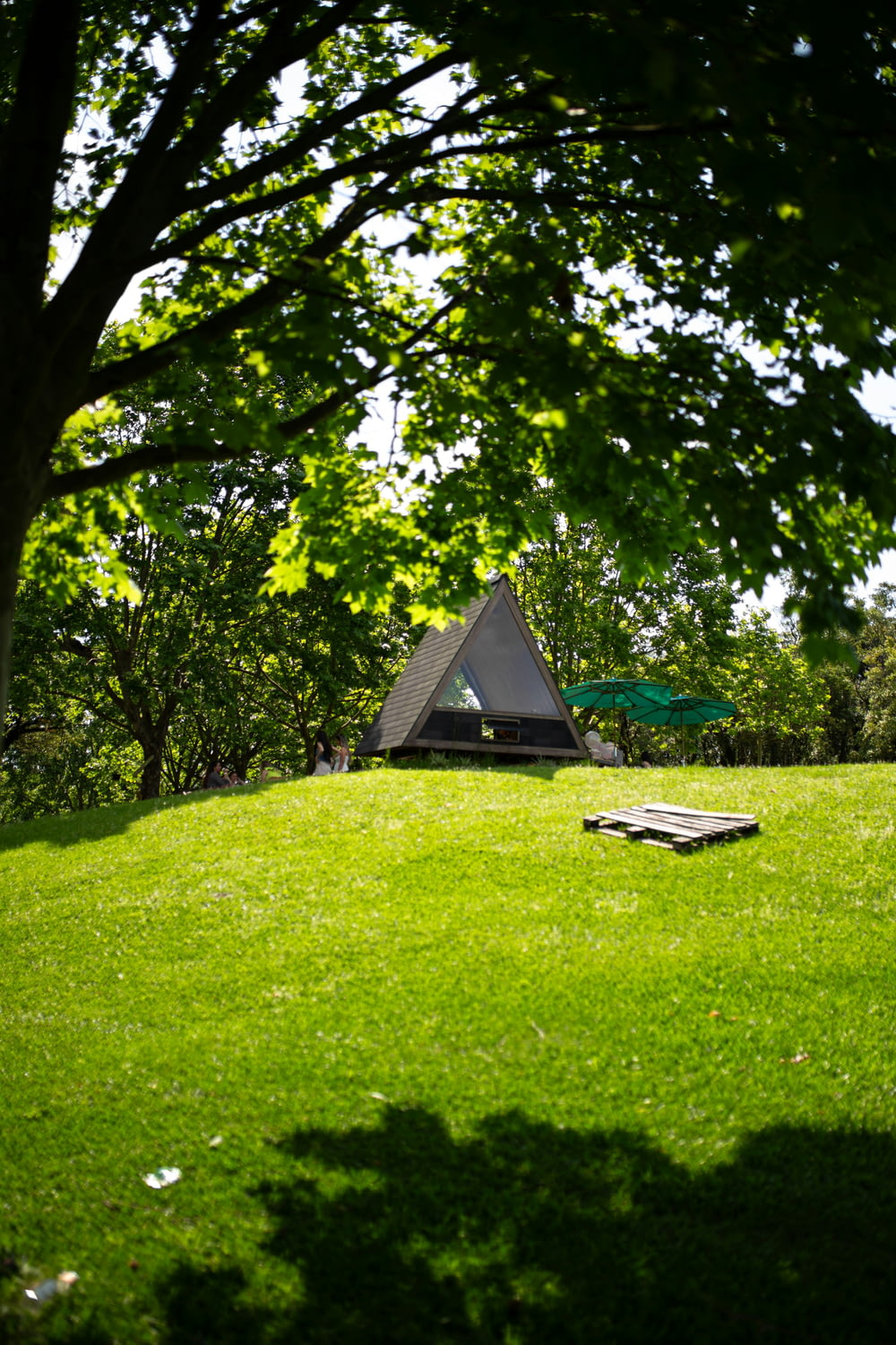 a tent in the middle of a grassy field