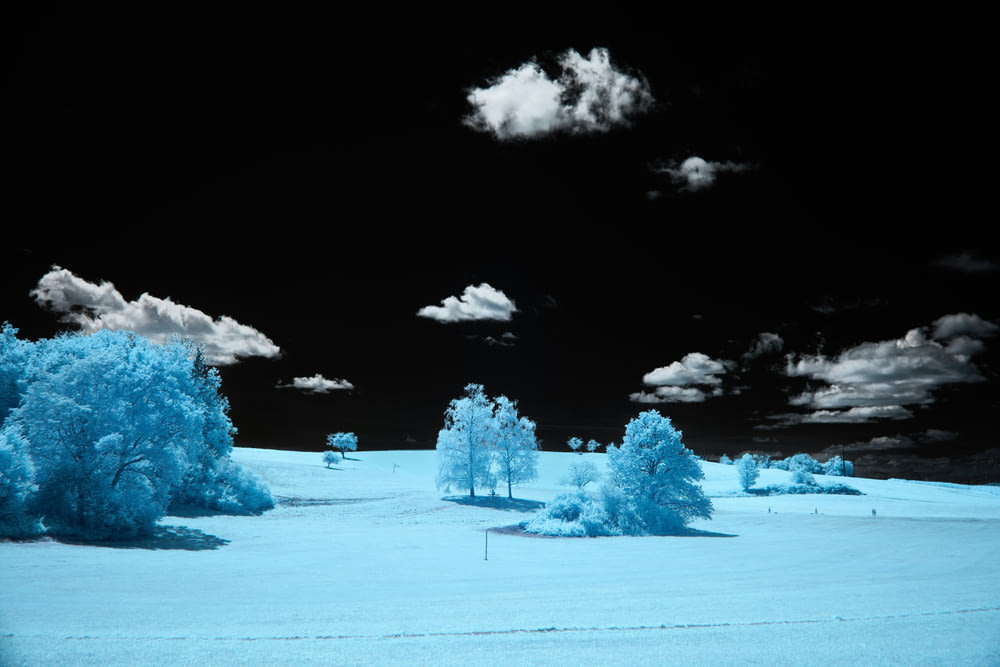 a snowy landscape with trees and clouds in the sky
