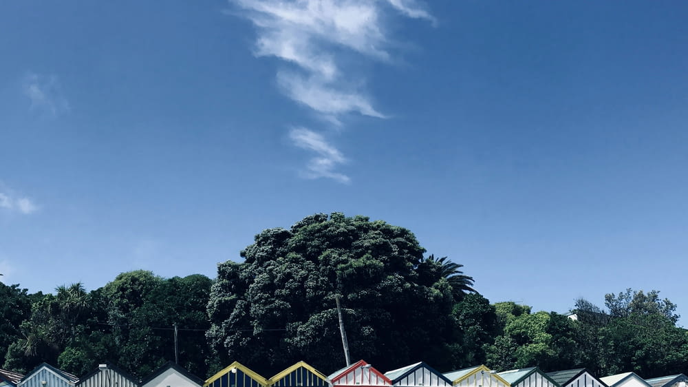 a row of colorful beach huts in front of a tree