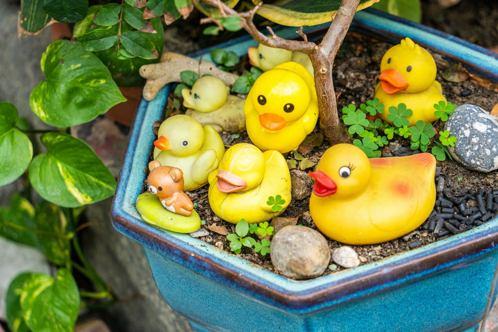 a potted plant with rubber ducks in it