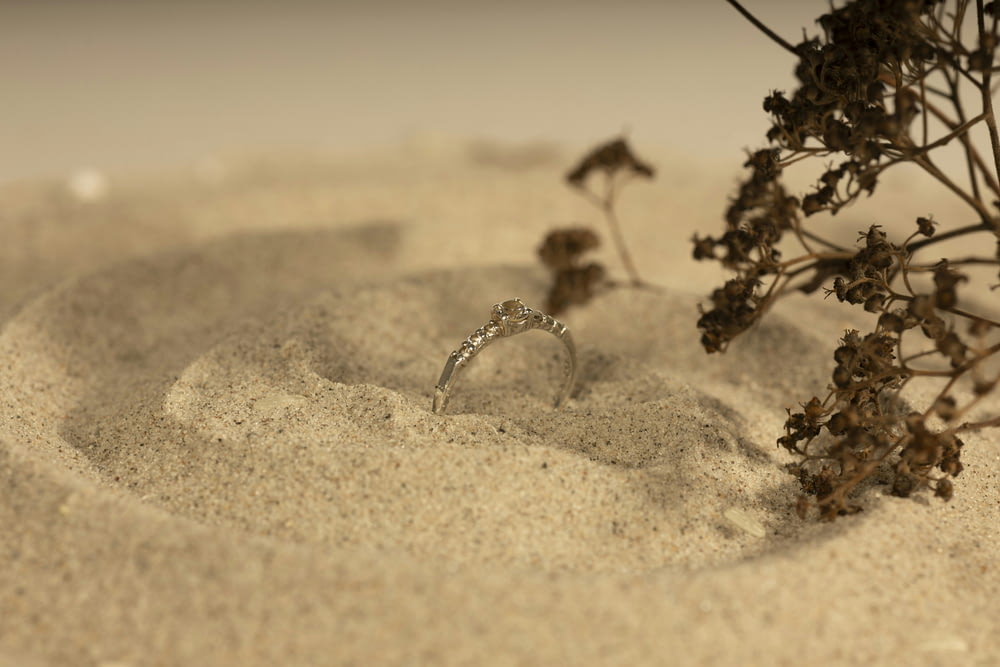 a wedding ring sitting in the sand next to a plant