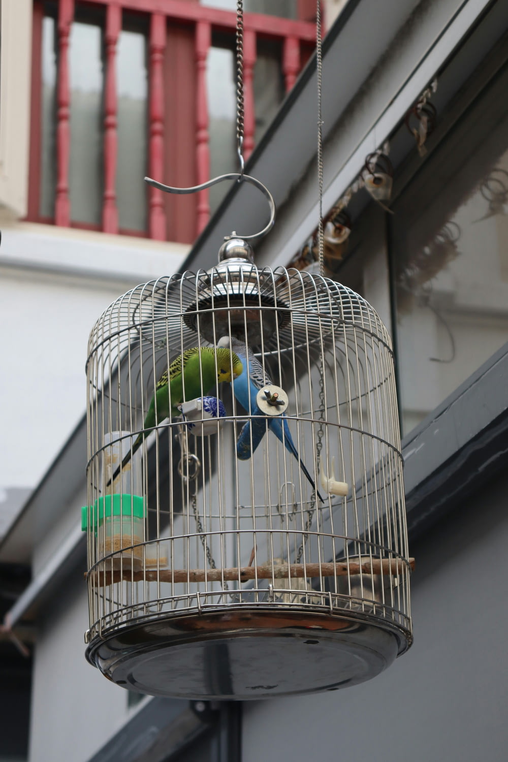 a bird in a cage hanging from the side of a building