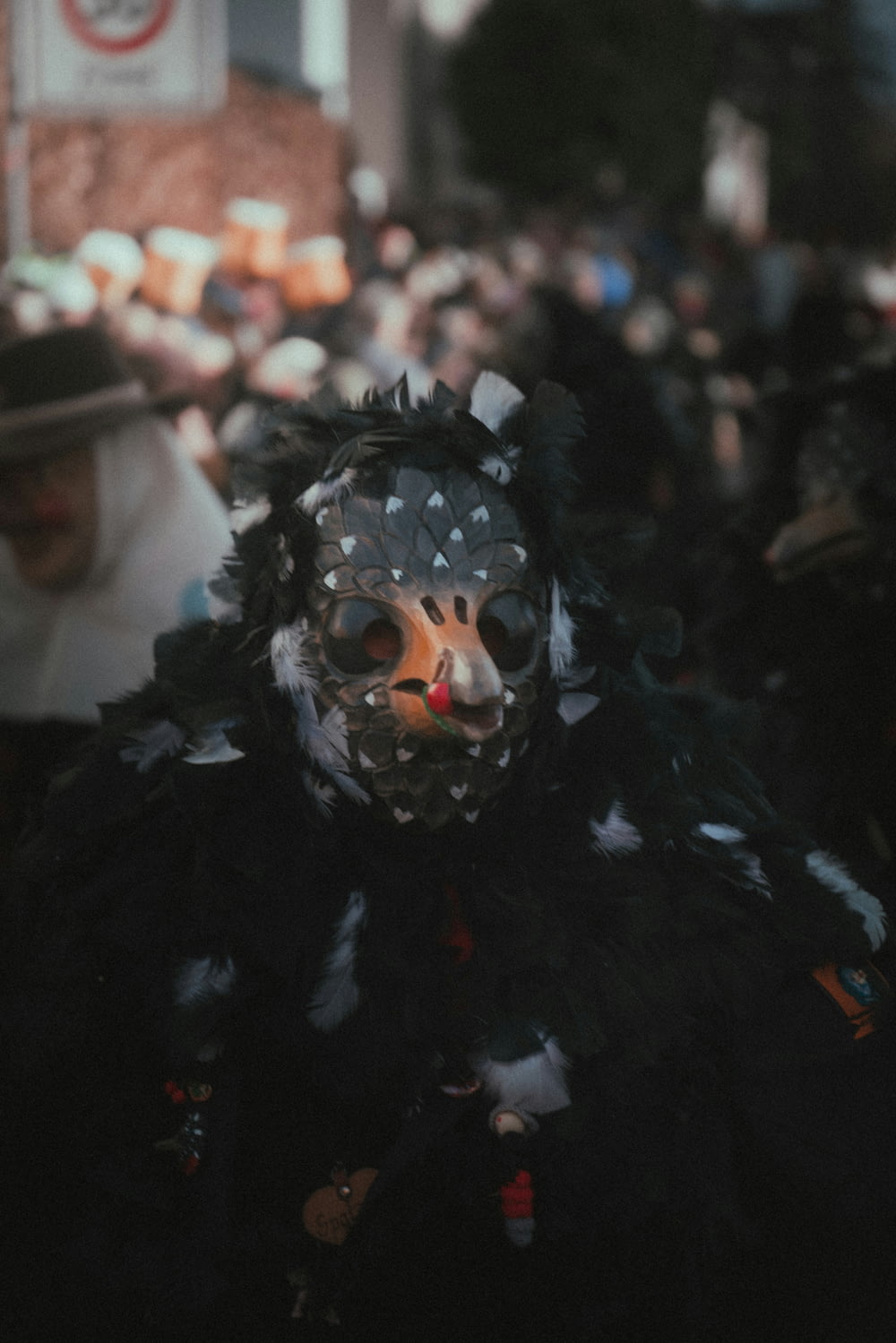 a person wearing a mask with feathers on it