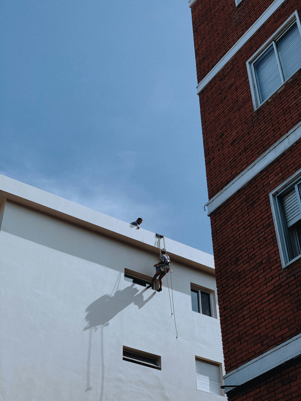 a bird is perched on the side of a building