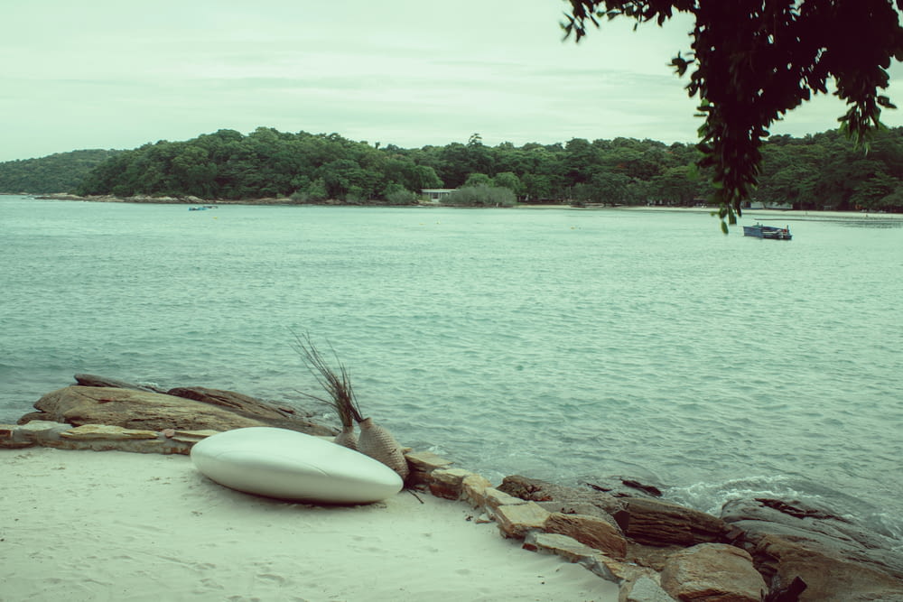 a white surfboard sitting on the shore of a lake