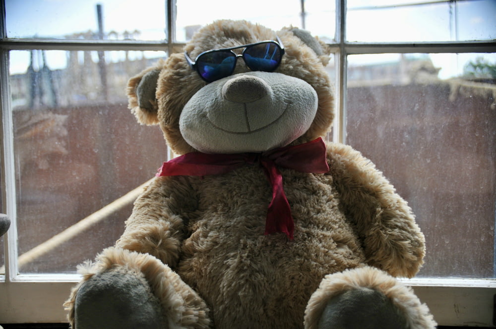 a teddy bear wearing sunglasses sitting in front of a window