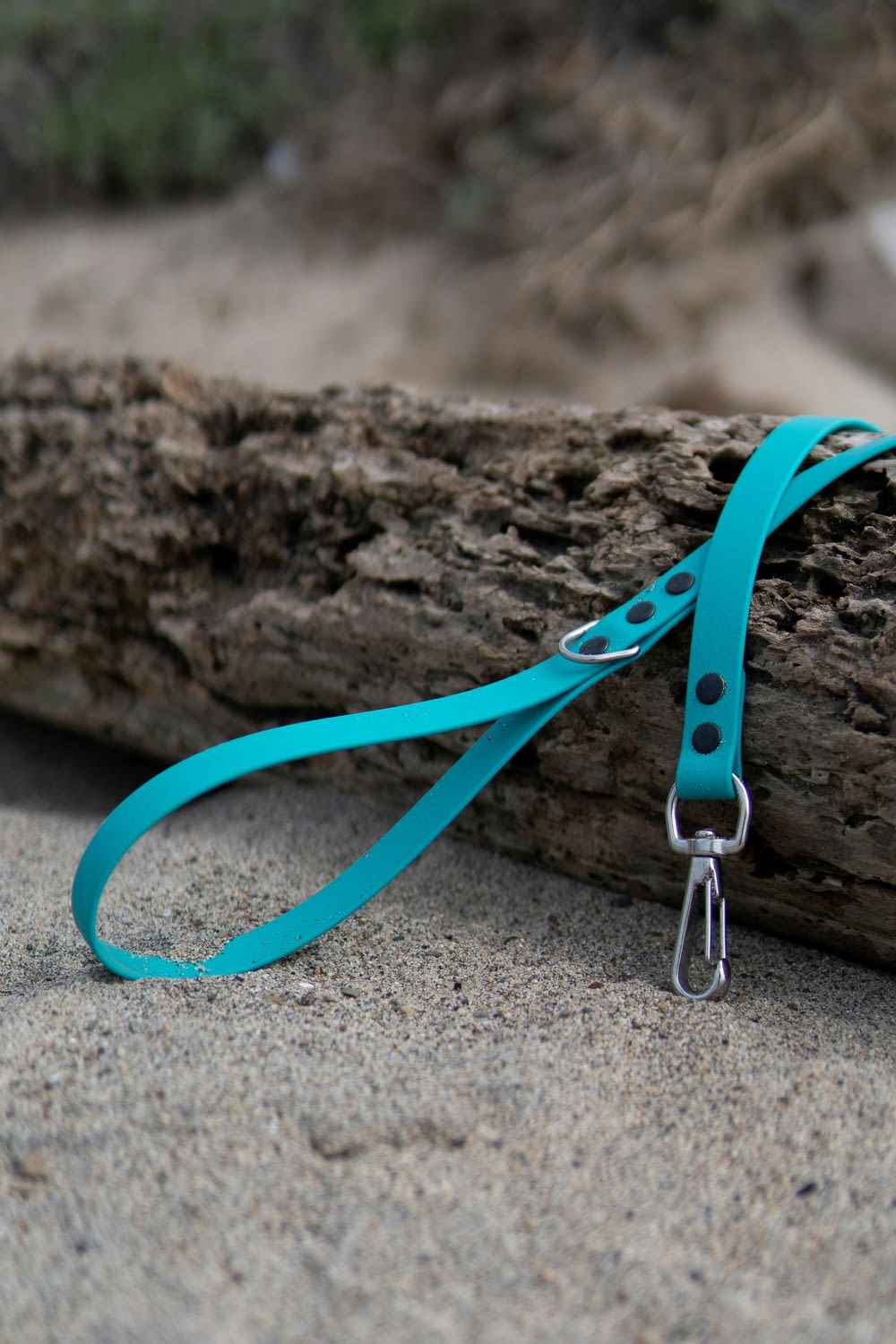 a blue leash tied to a log on the beach