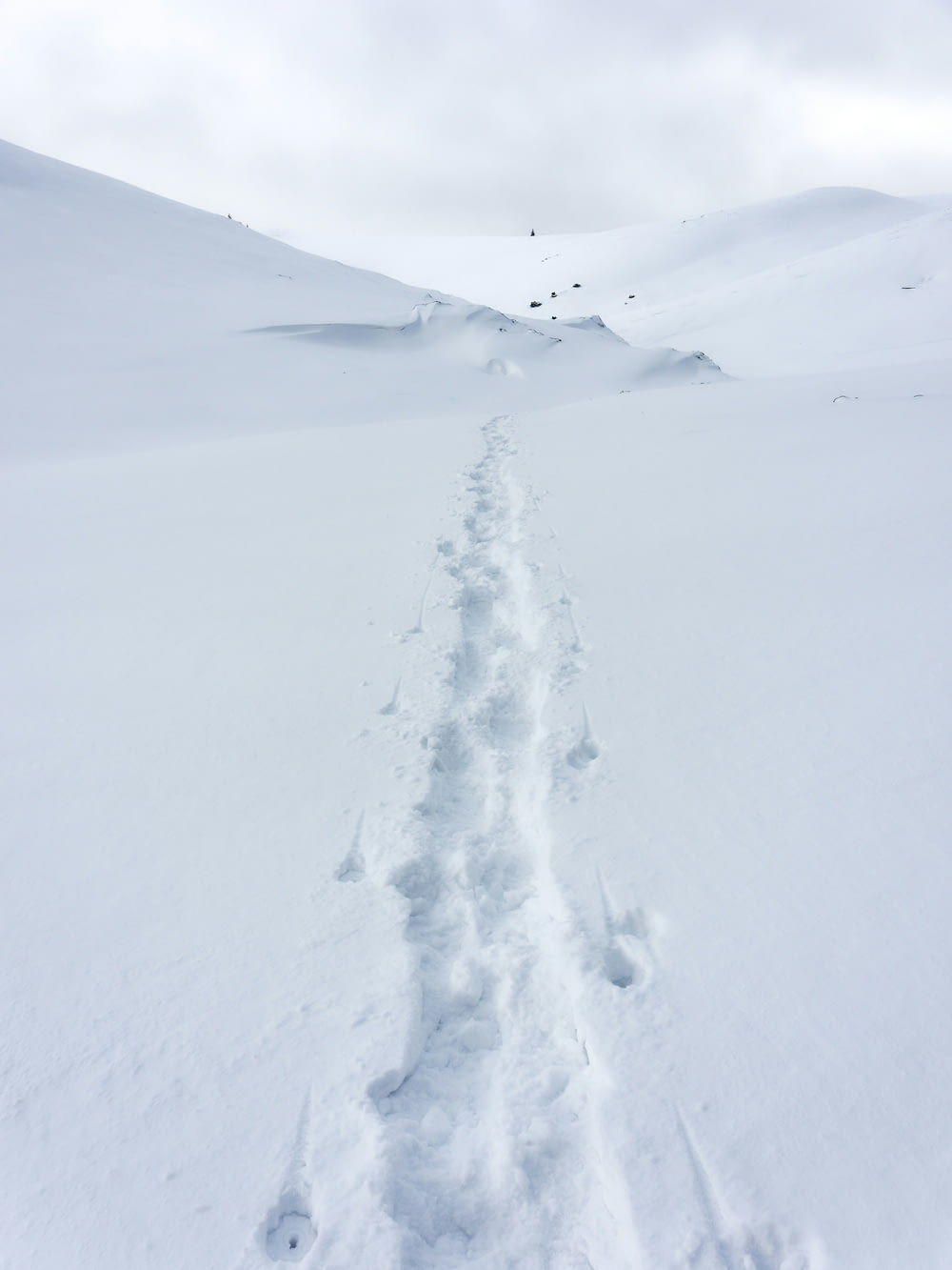 a trail in the snow with a sky background