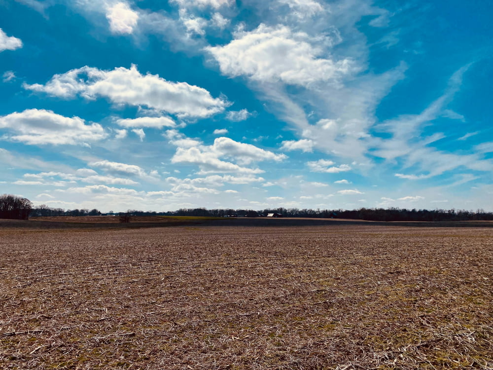 a large open field with a blue sky in the background