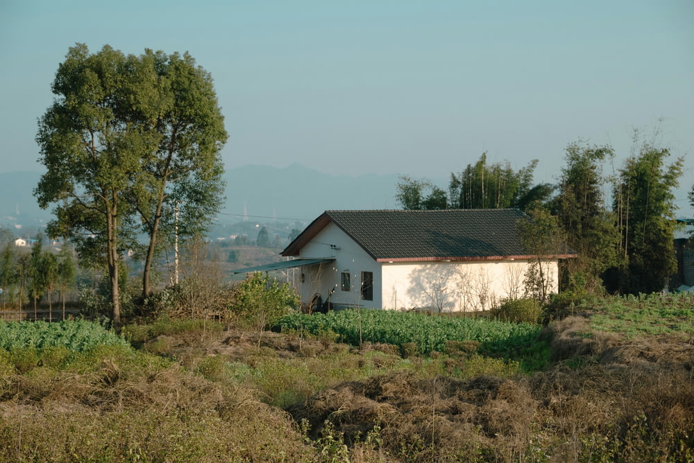 a small house in a field with trees in the background