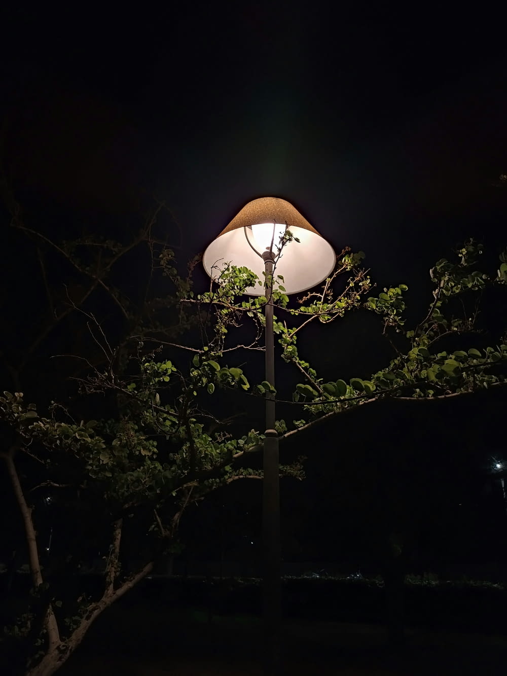 una lampada su un palo nel buio