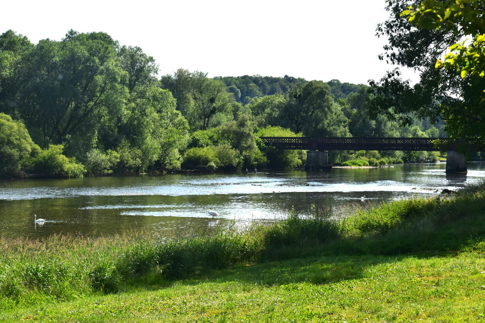 a river with a bridge over it next to a lush green field