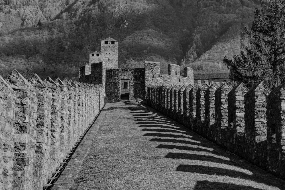 a black and white photo of an old castle