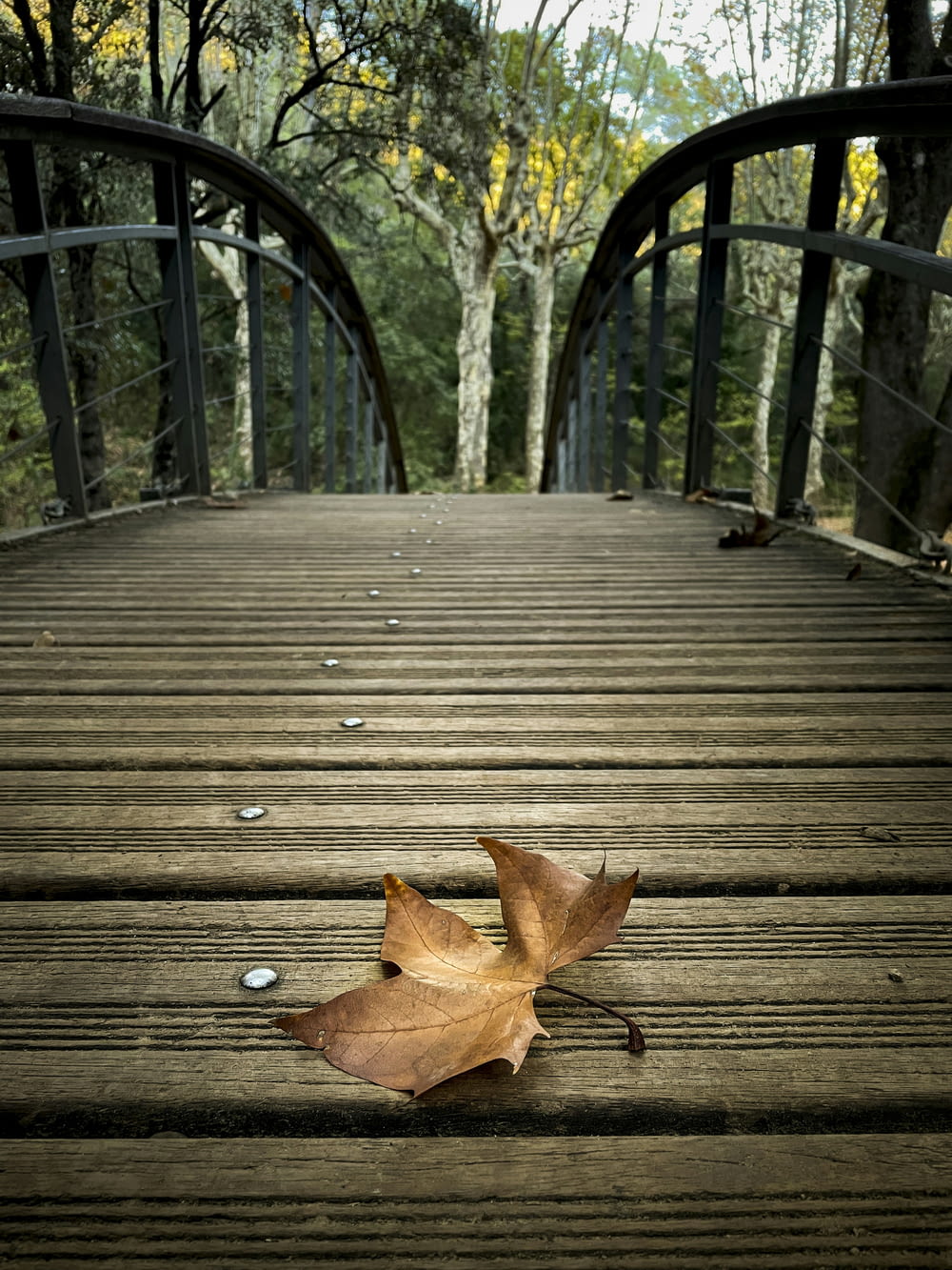 Ein Blatt liegt auf einer Holzbrücke