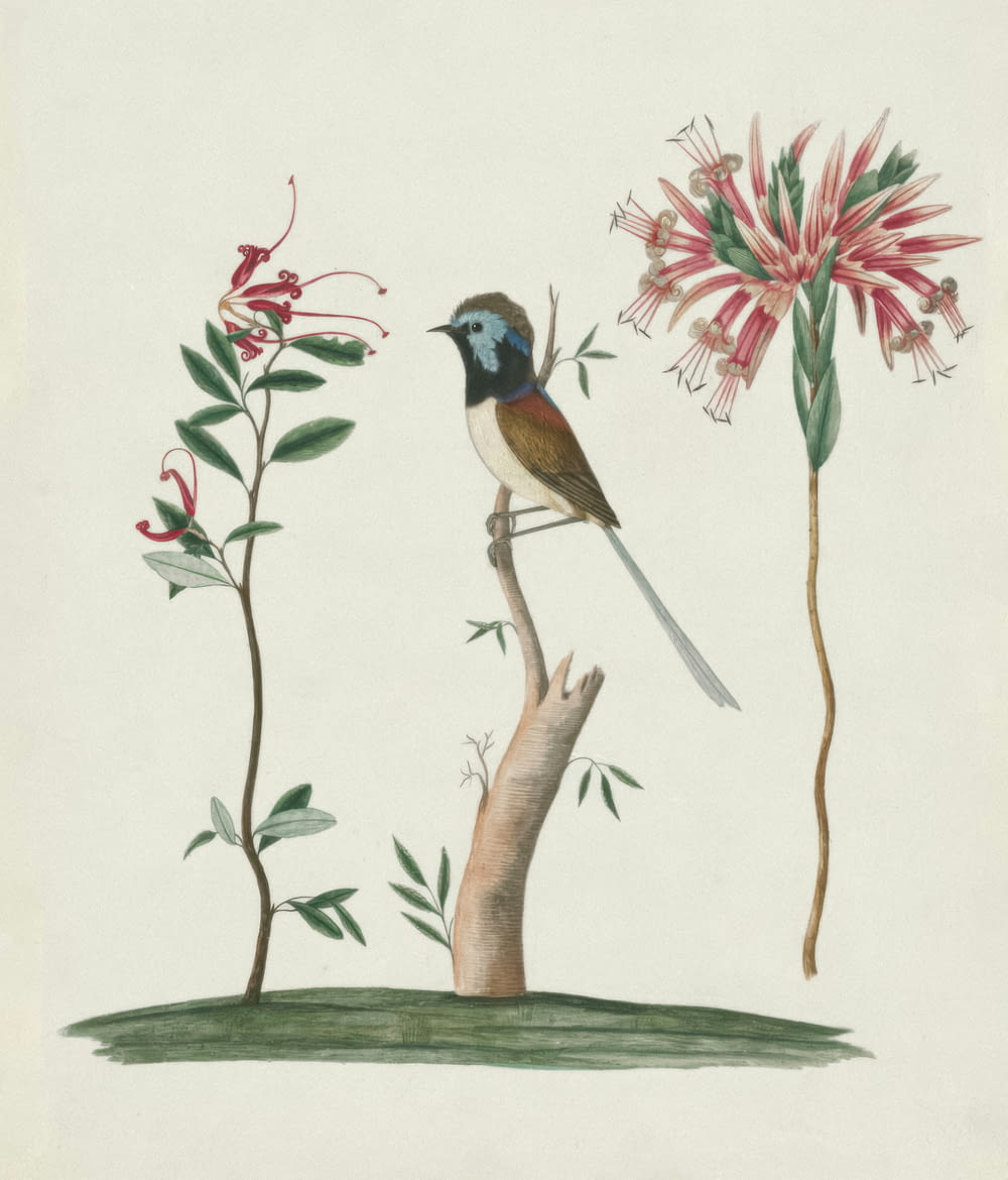 a drawing of a bird sitting on top of a tree branch