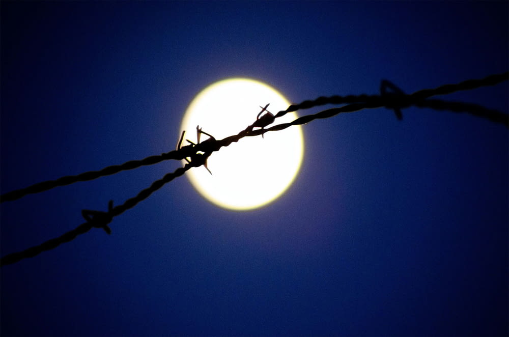 a full moon is seen behind a barbed wire