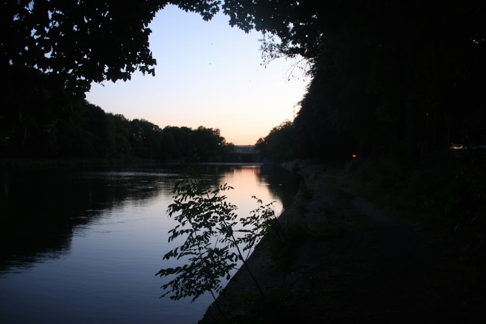 a body of water surrounded by trees at dusk