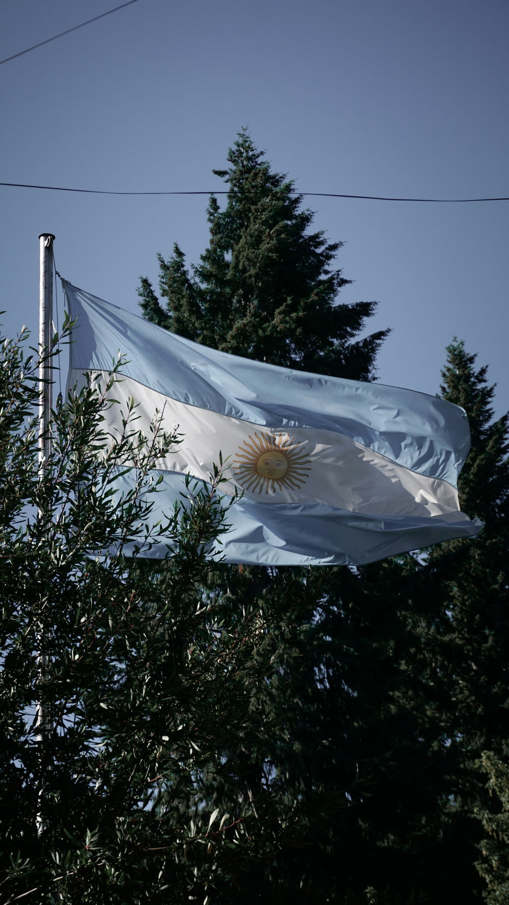 a flag flying in the wind next to a tree