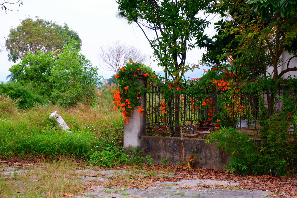 a gate with a bunch of orange flowers on it