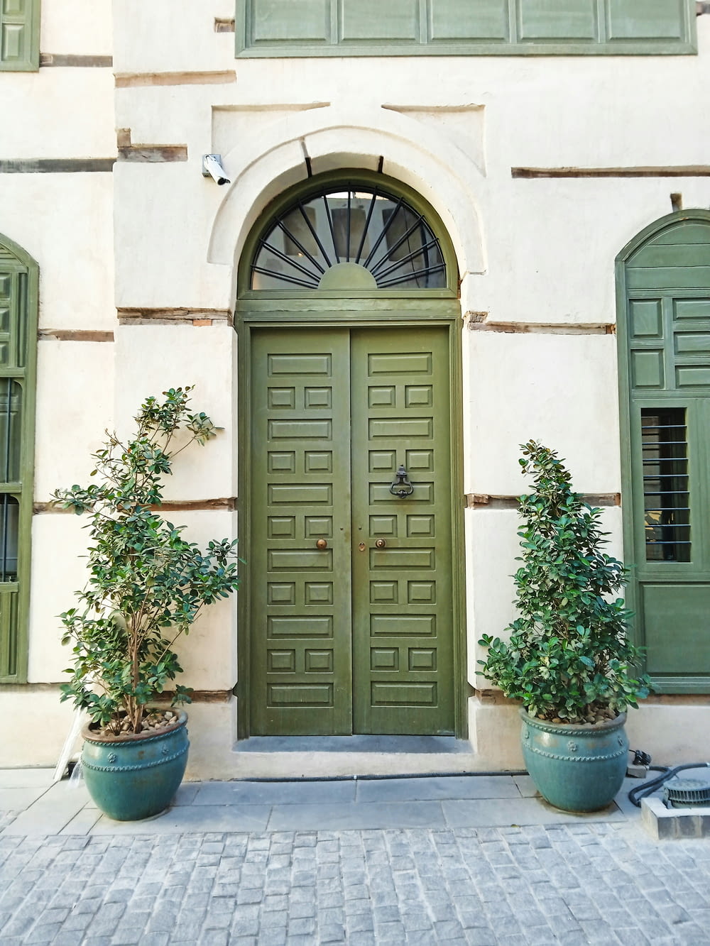 two potted plants sit in front of a green door