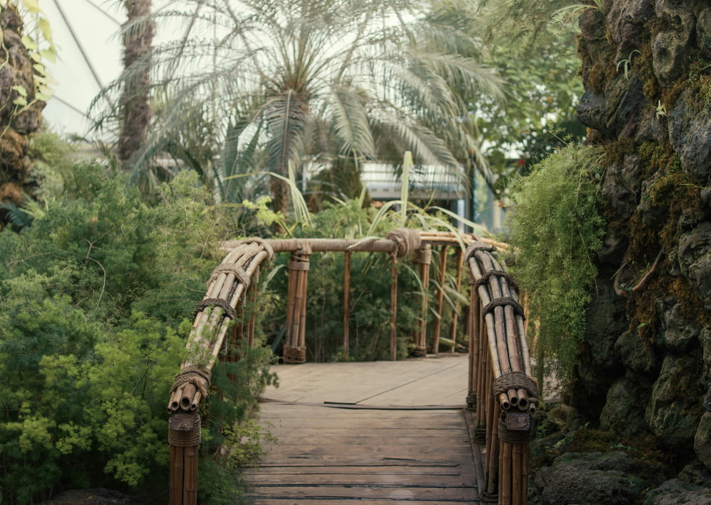a wooden bridge surrounded by trees and bushes