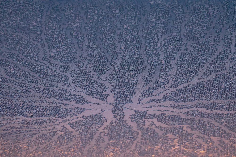 a close up of a frosted window with a tree on it