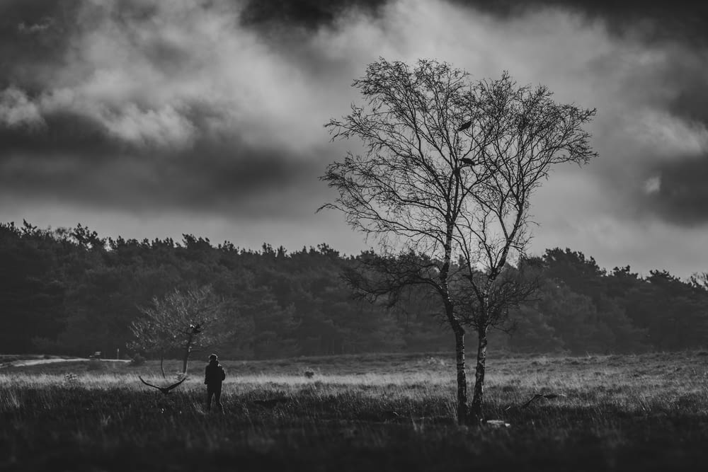 a man standing next to a tree in a field