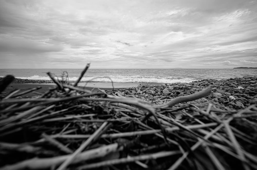 a black and white photo of a beach