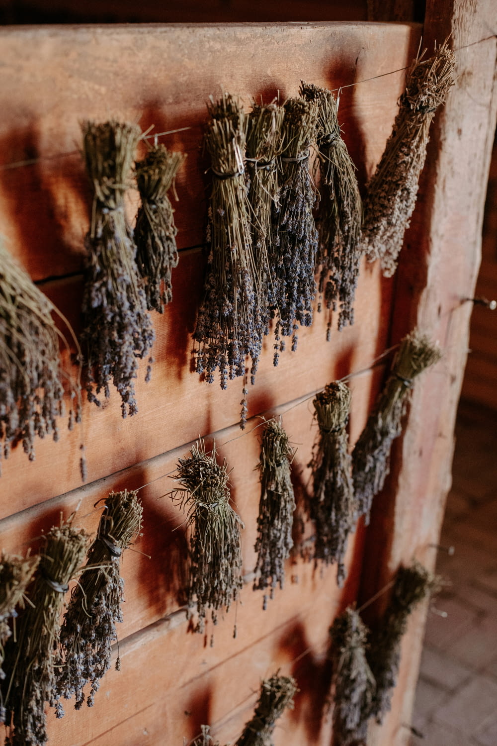 a bunch of dried herbs hanging on a wall