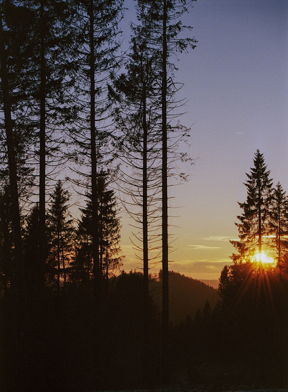the sun is setting behind the trees in the forest