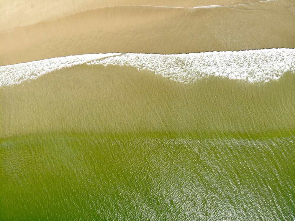 Una vista aérea de una playa de arena con agua verde