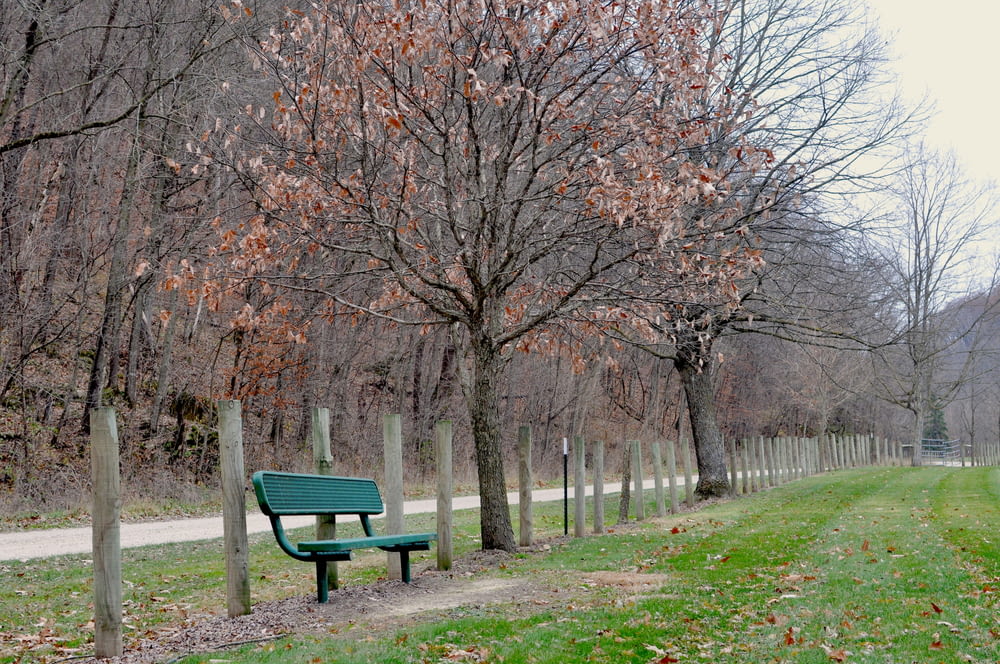 a green park bench next to a row of trees