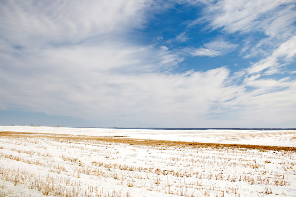 a large open field covered in snow under a blue sky