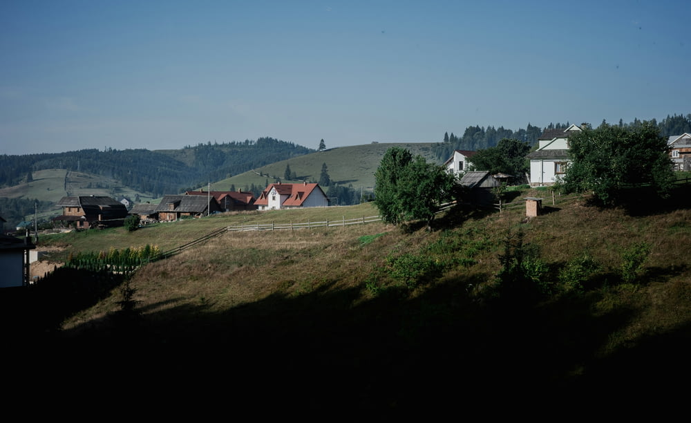 a hill with houses and trees on it