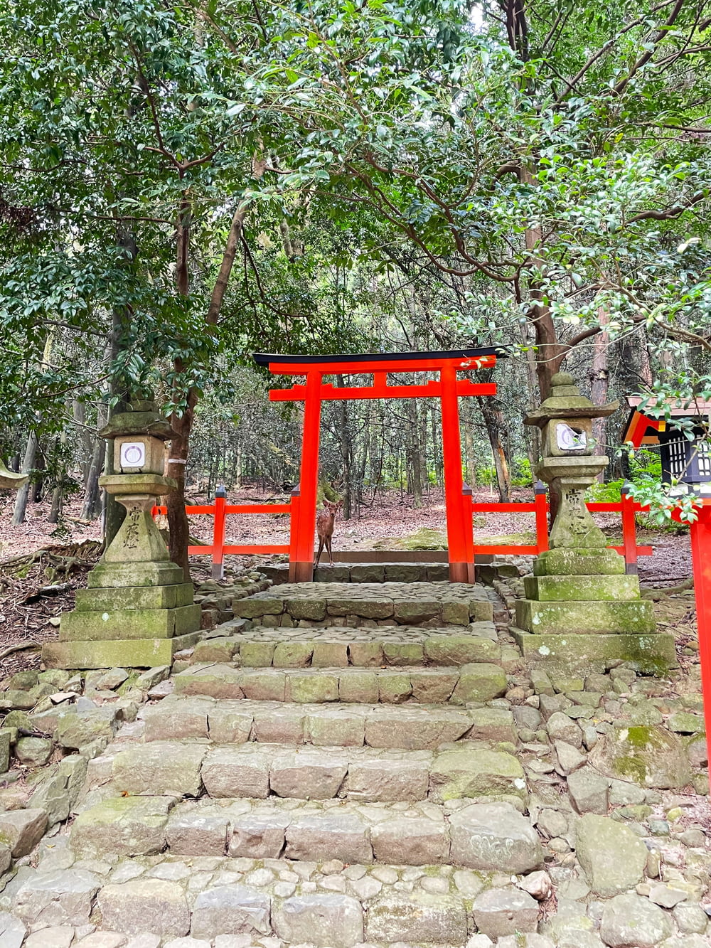 a set of steps leading to a shrine in the woods