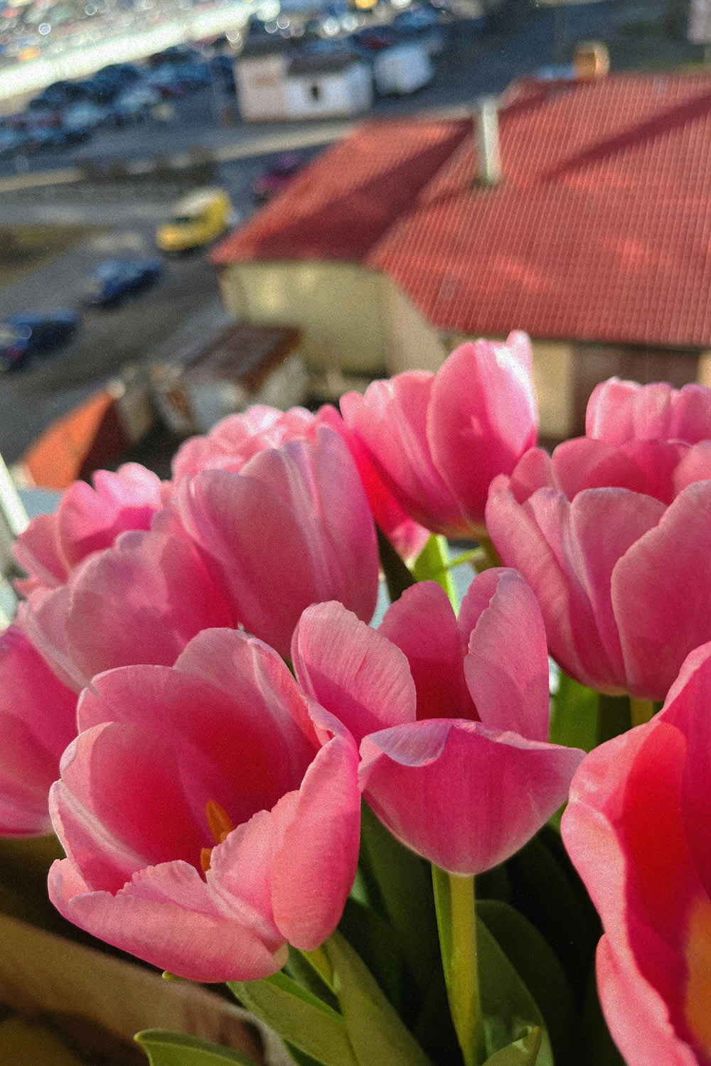 a bunch of pink tulips are in a vase