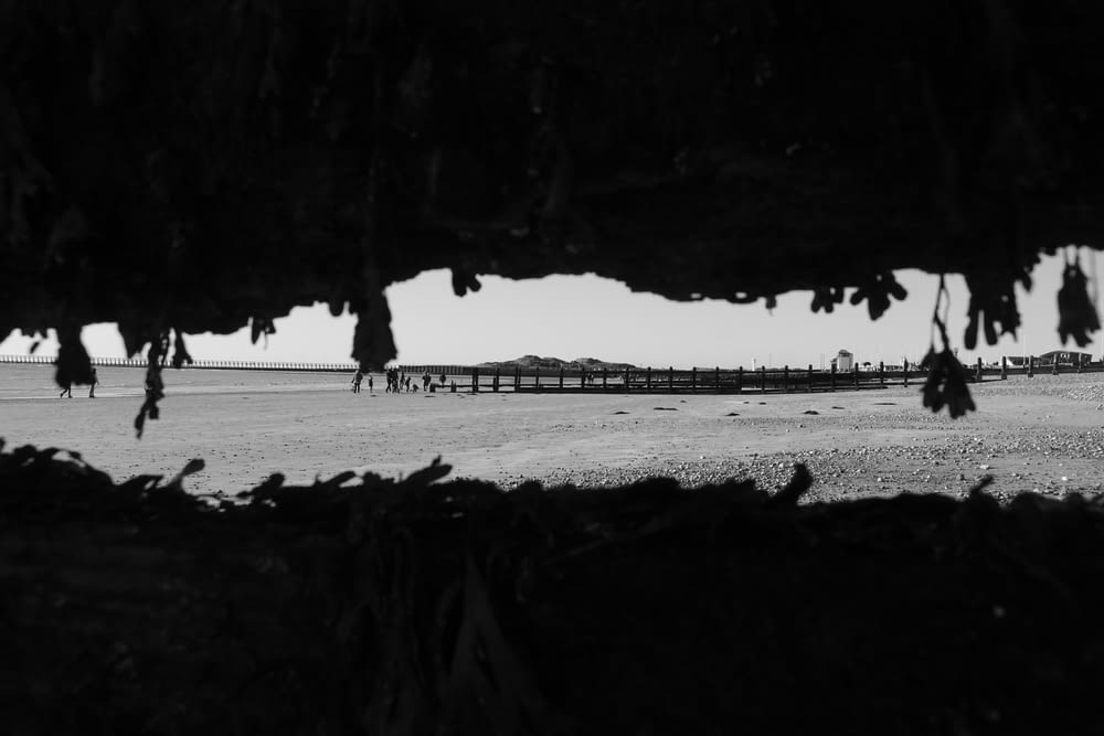 a black and white photo of a beach with horses