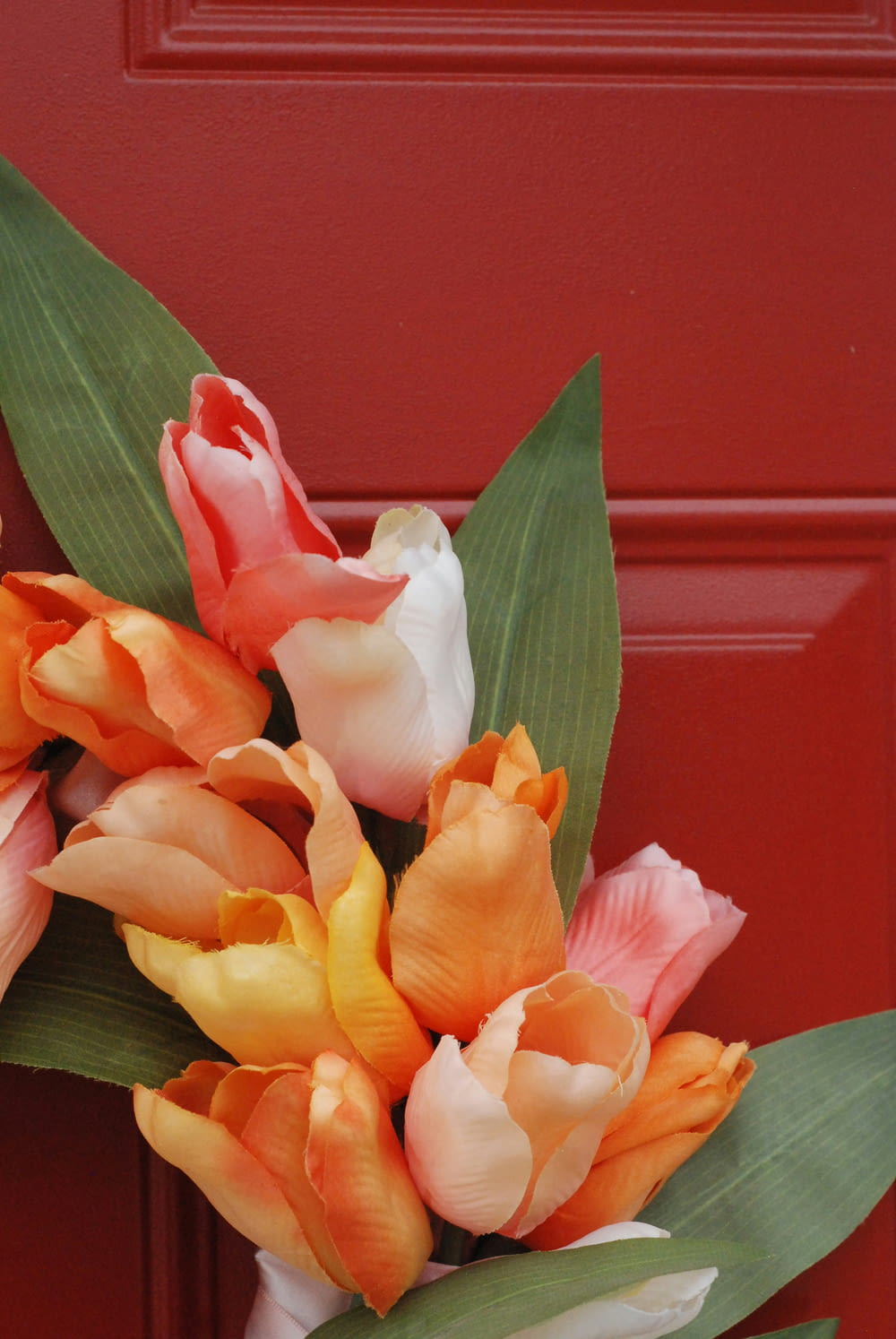a bouquet of orange and white tulips on a red door