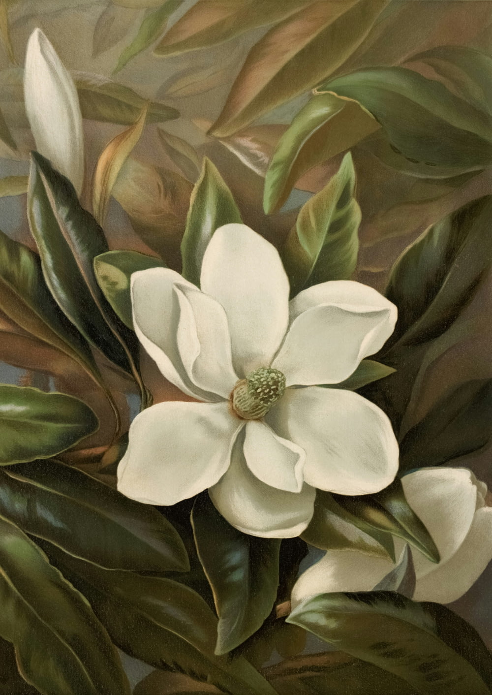a painting of a white flower with green leaves