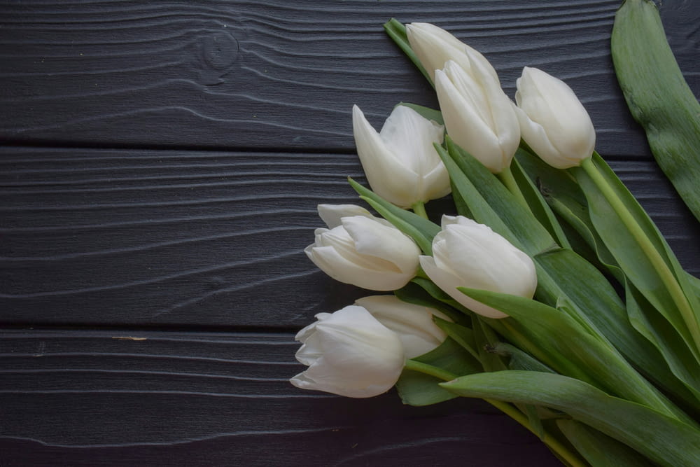 a bouquet of white tulips on a black background