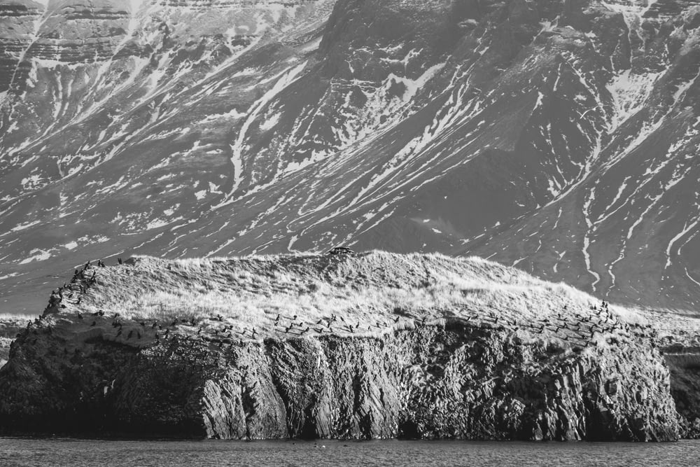山の前の岩層の白黒写真