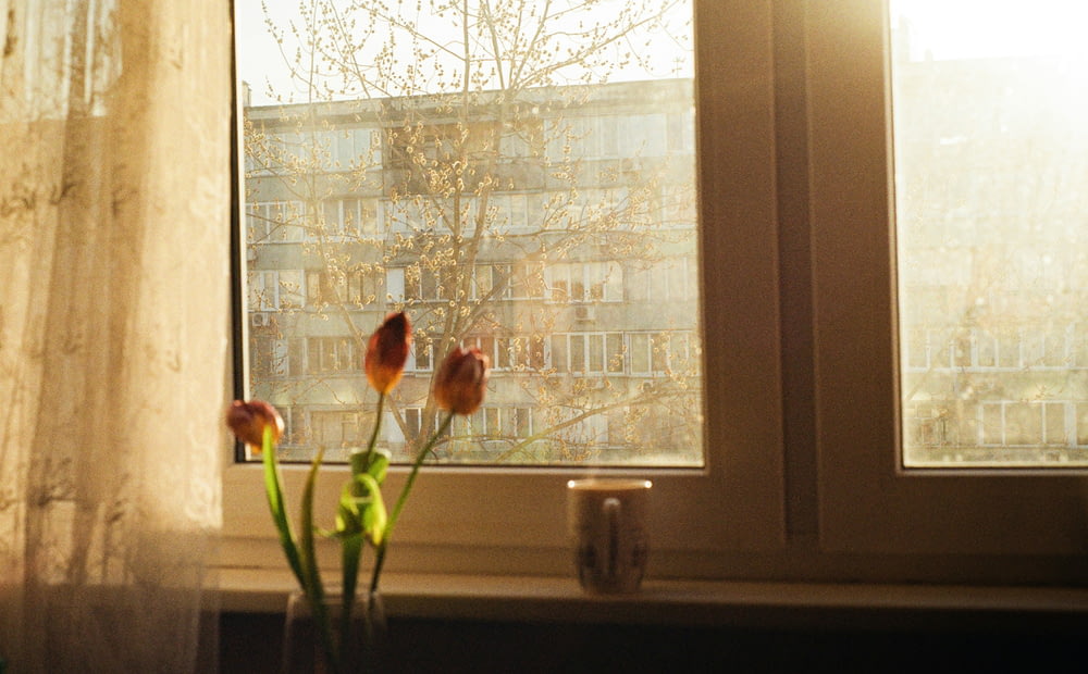 a vase of tulips sits in front of a window