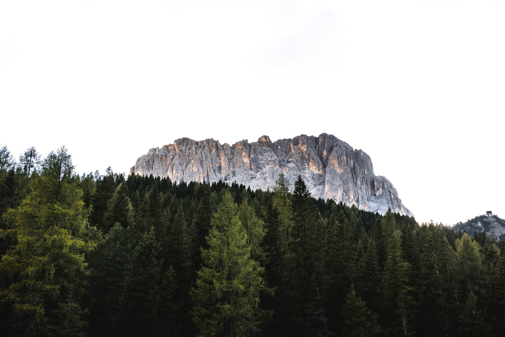 a mountain with trees and a sky background