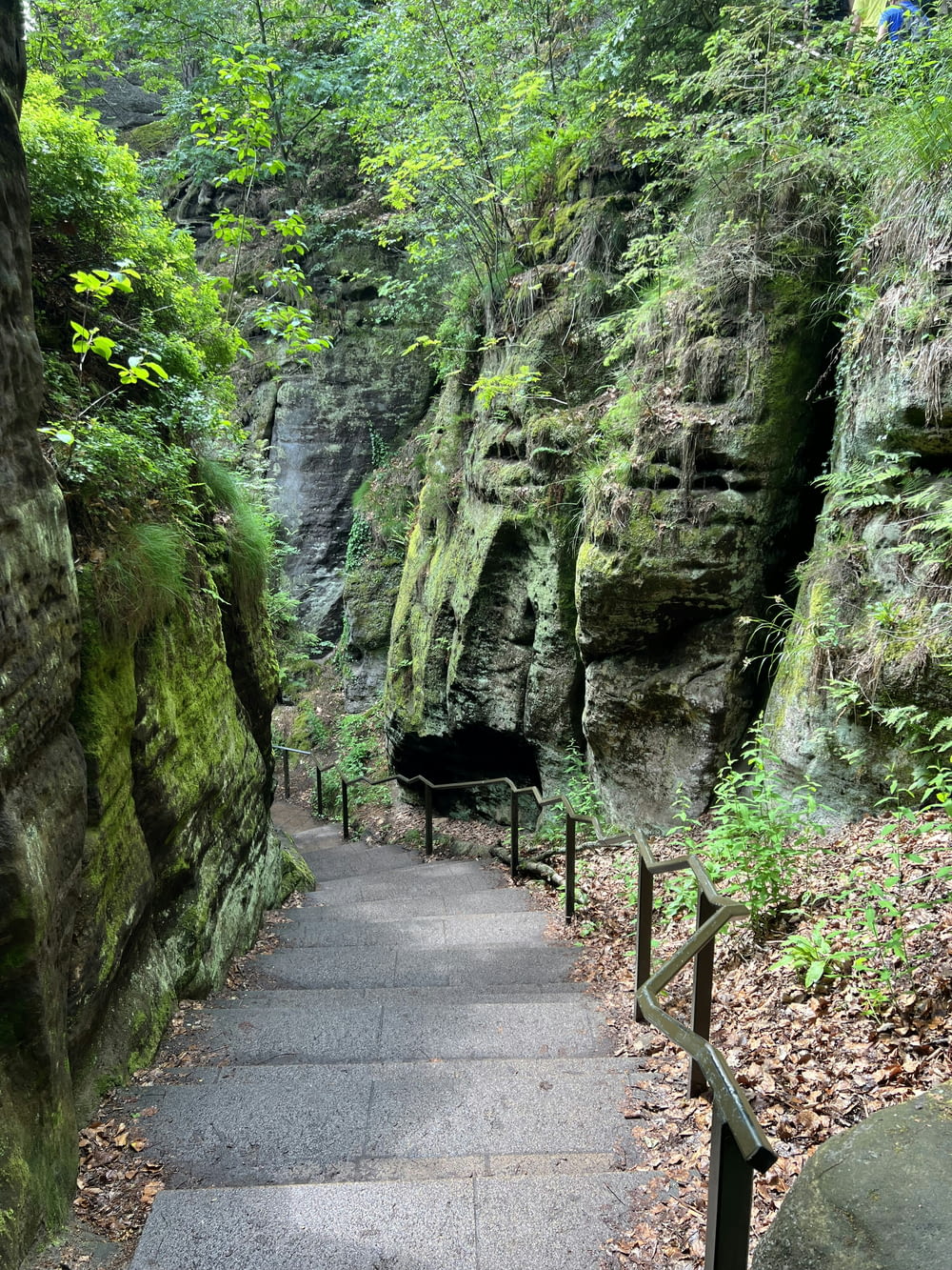 a stone walkway leading to a cave in the woods